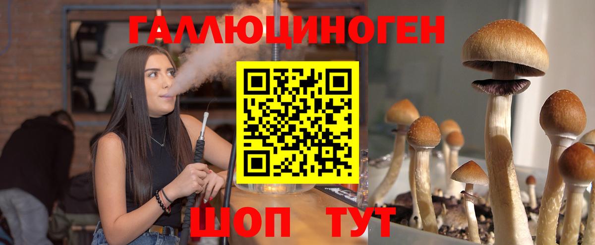 Псилоцибиновые грибы GOLDEN TEACHER  Вход с VPN  Лесной 