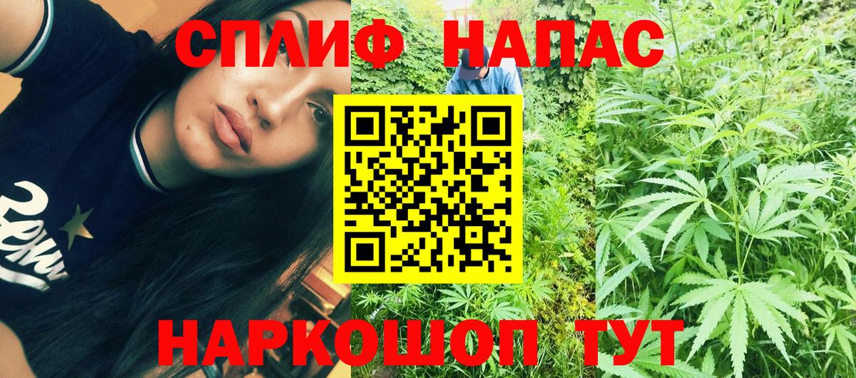 Конопля Bruce Banner Лесной